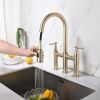 Transition bridge kitchen faucet with pull-down nozzle