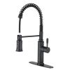 Stainless steel kitchen faucet